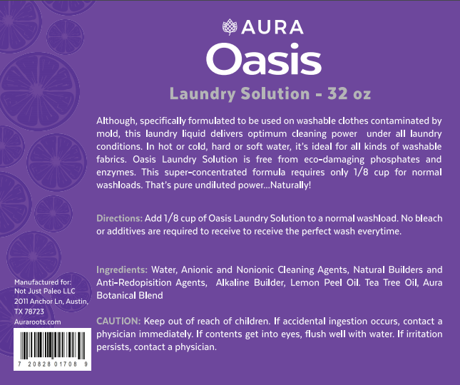 Oasis Laundry Solution
