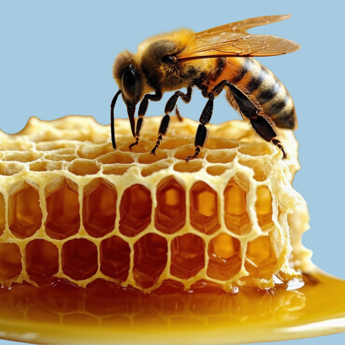 Honey