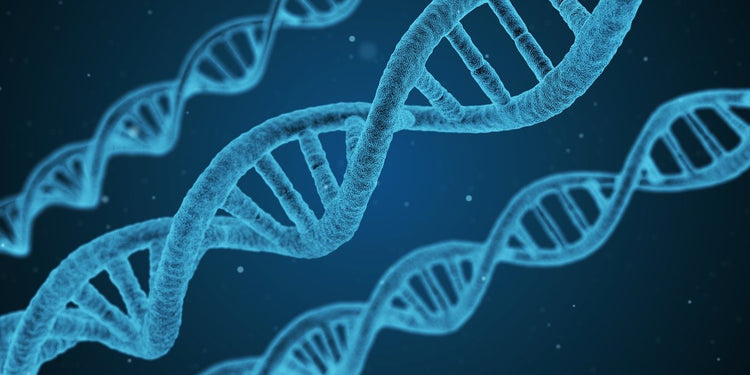 Functional Lab Tests