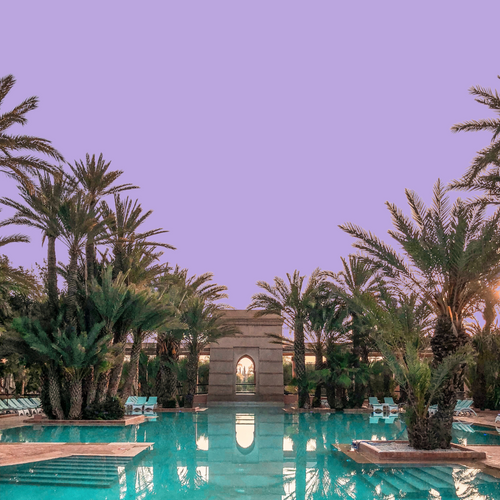 Oasis