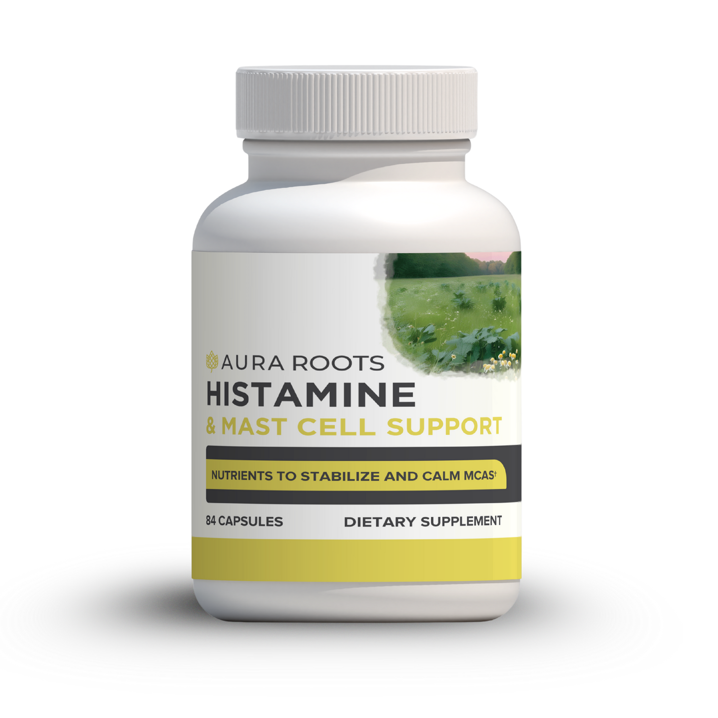 Histamine & Mast Cell Support