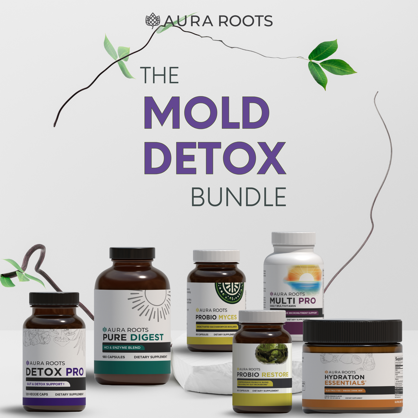 The Mold Detox Bundle